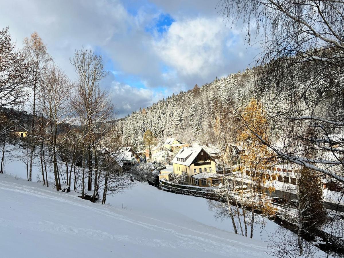 Urige Berghuette Mit Kamin Und Sauna Im Erzgebirge Nahe Schwarzwassertal Pobershau Ngoại thất bức ảnh